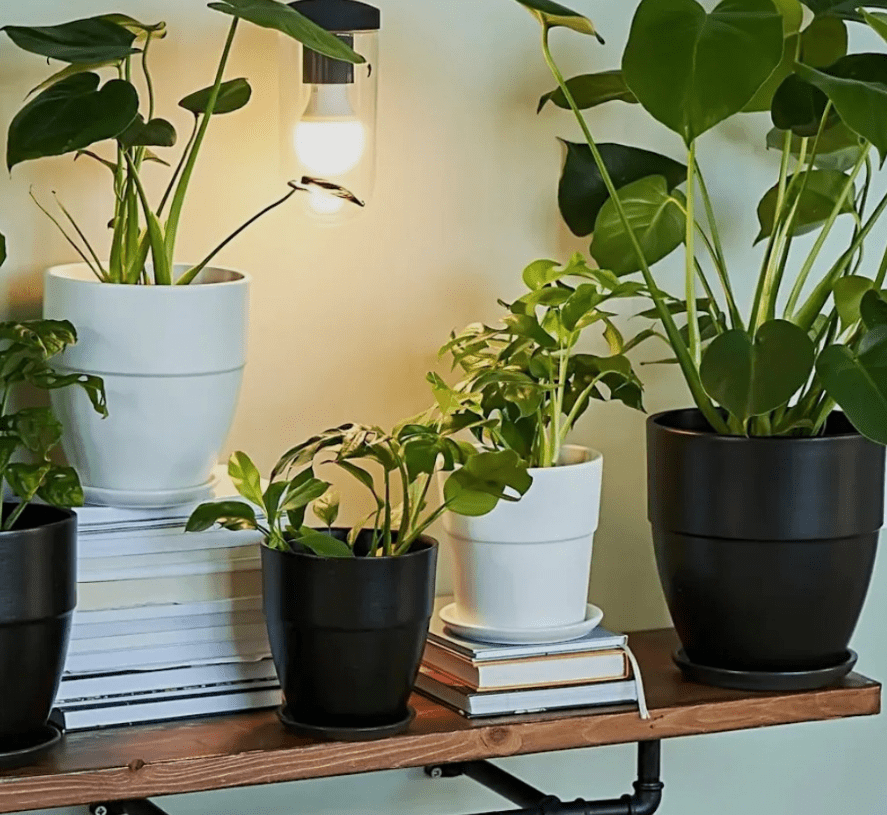 Decoración de Hogar