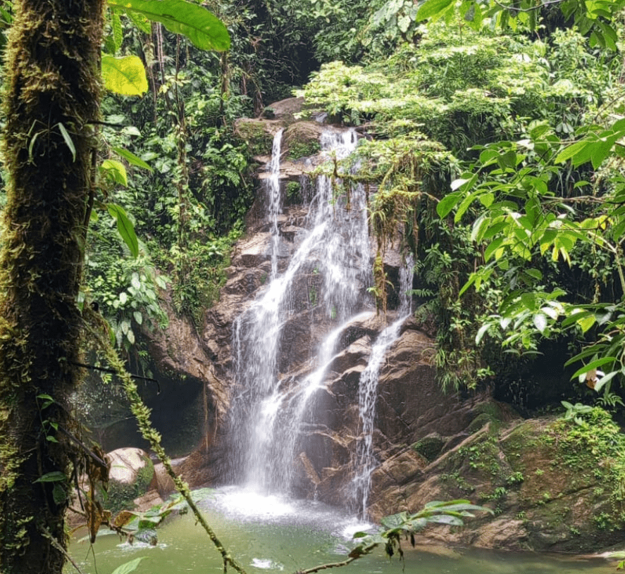 Fauna, flora, ríos, cascadas, paisajes